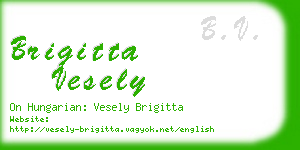 brigitta vesely business card